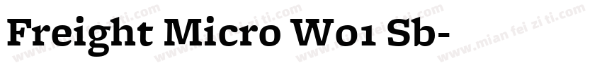 Freight Micro W01 Sb字体转换
